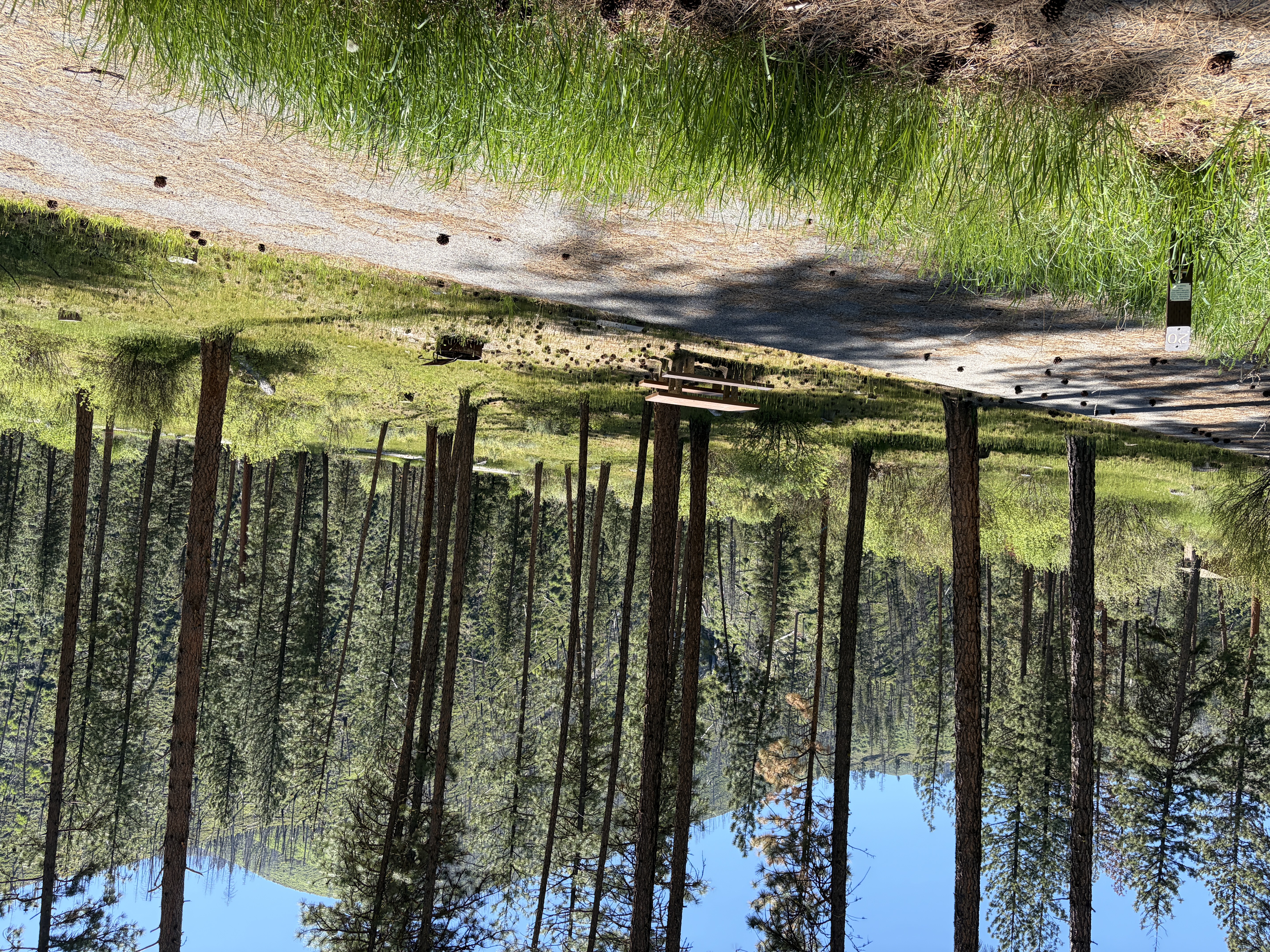 Pine Flats Campground - Campsites