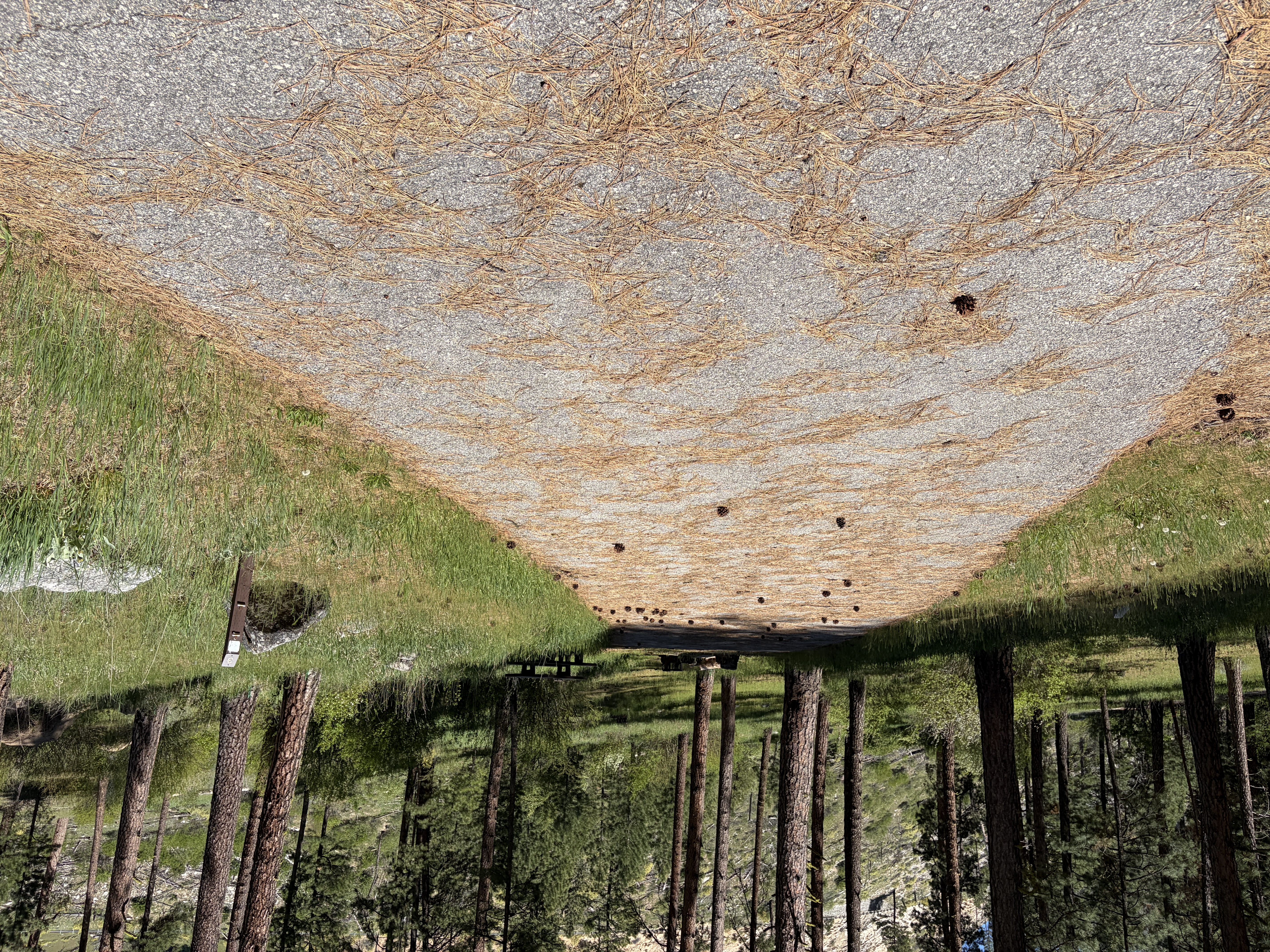 Pine Flats Campground - Campsites
