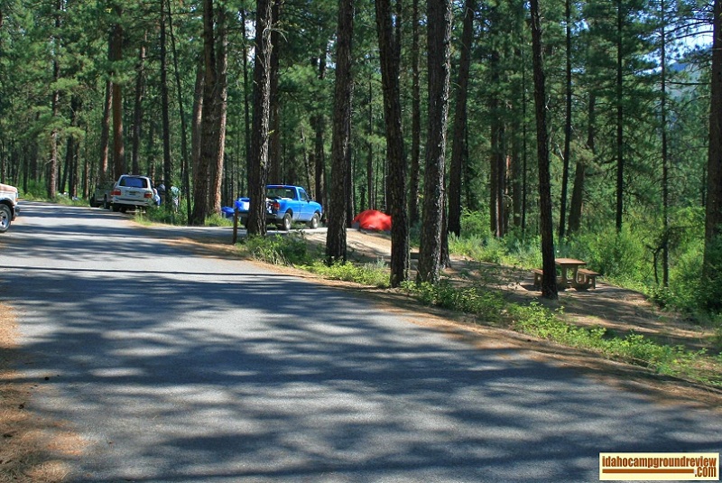 Pine Flats Campground