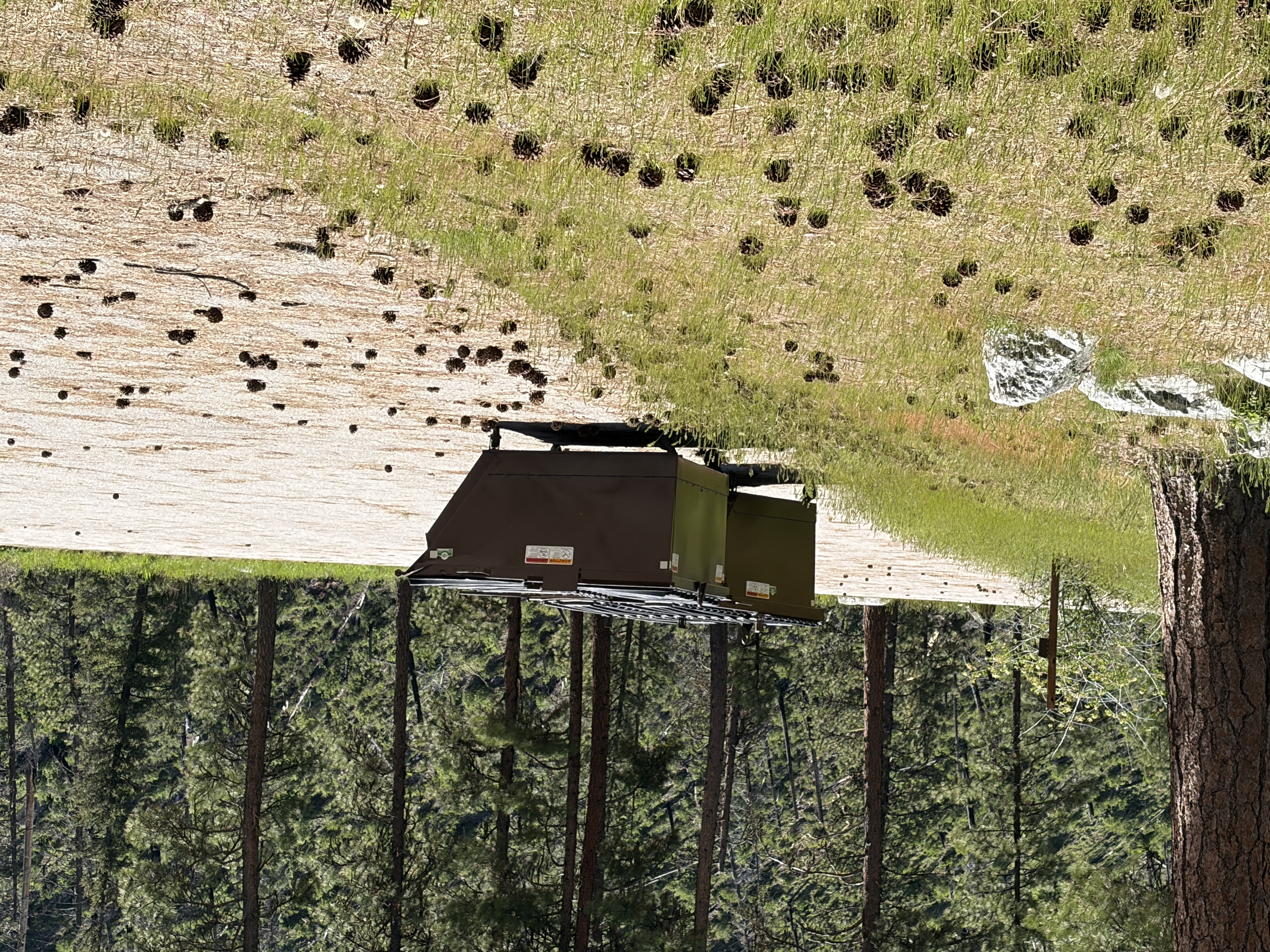Pine Flats Campground - Facilities