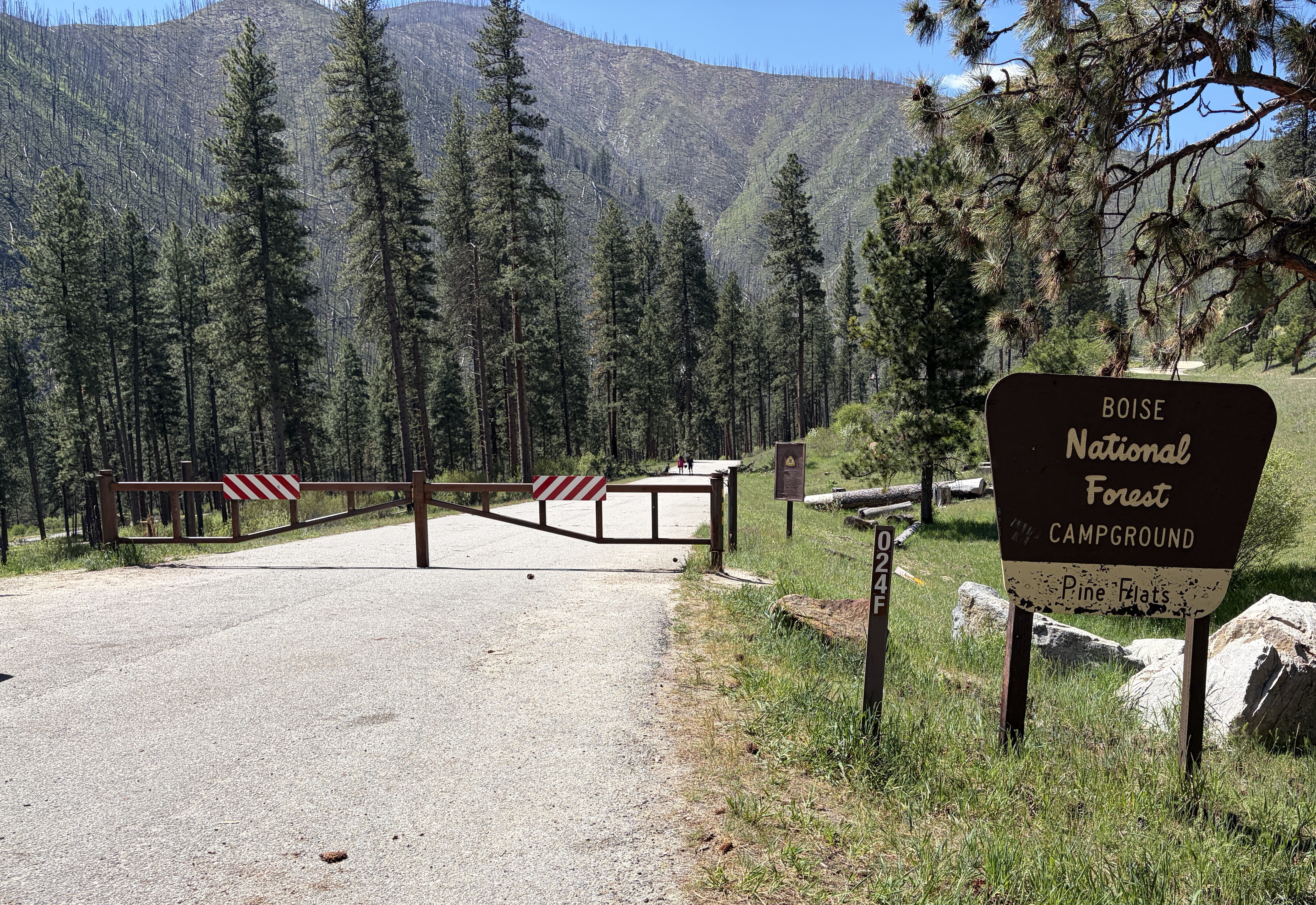 Pine Flats Campground