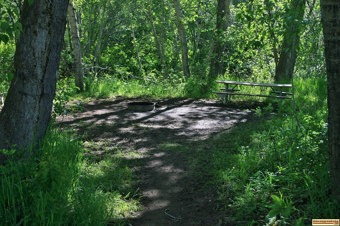 This is campsite #1 in Pioneer Campground.