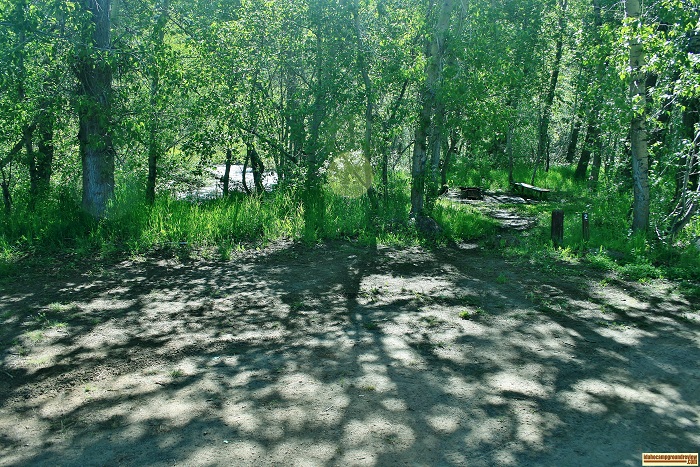 Campsite #2 at Pioneer Campground.