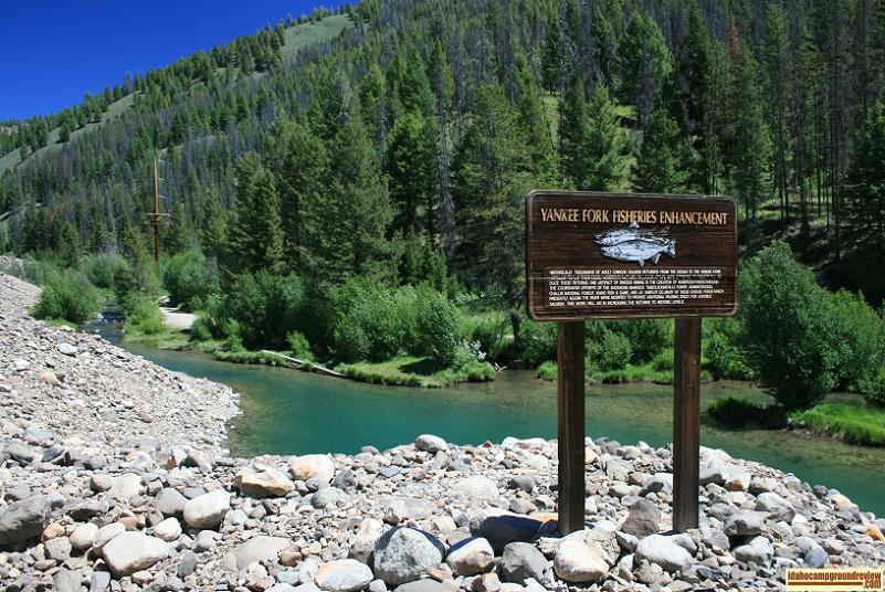 This is a view of the Yankee Fork of the Salmon River near Pole Flat Campground.