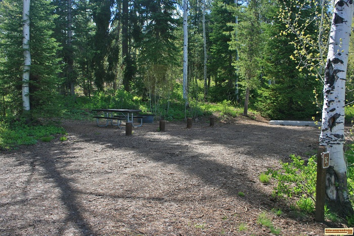 Campsite 5C in Loop "C" of Porcupine Springs Campground.