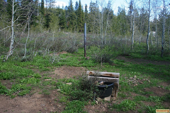 There is a stock water trough in Loop "C" of Porcupine Springs Campground.