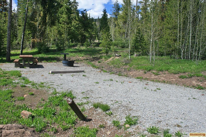 Campsite 3D in Loop "D" Porcupine Springs Campground.