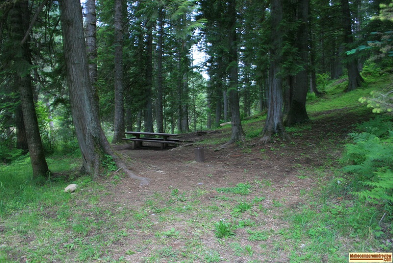 A camp site in Rackliff Campground on the Selway River
