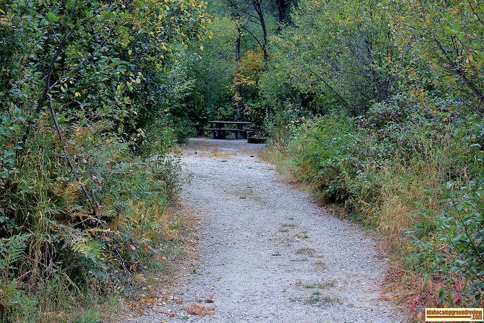 Rattlesnake Campground