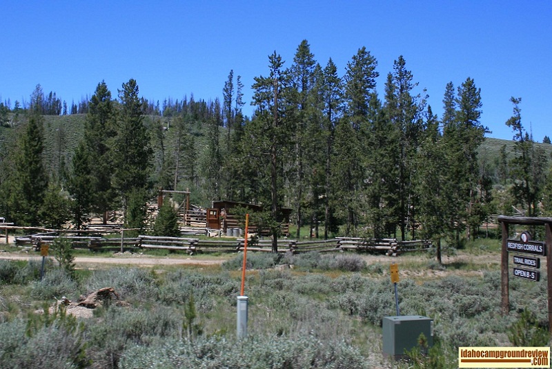 Trail rides are available, for a fee, at the Redfish Corrals. Get along little doggies!
Call 208-774-3311