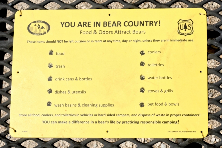 A guide to camping at Riverside Campground Atlanta Idaho.