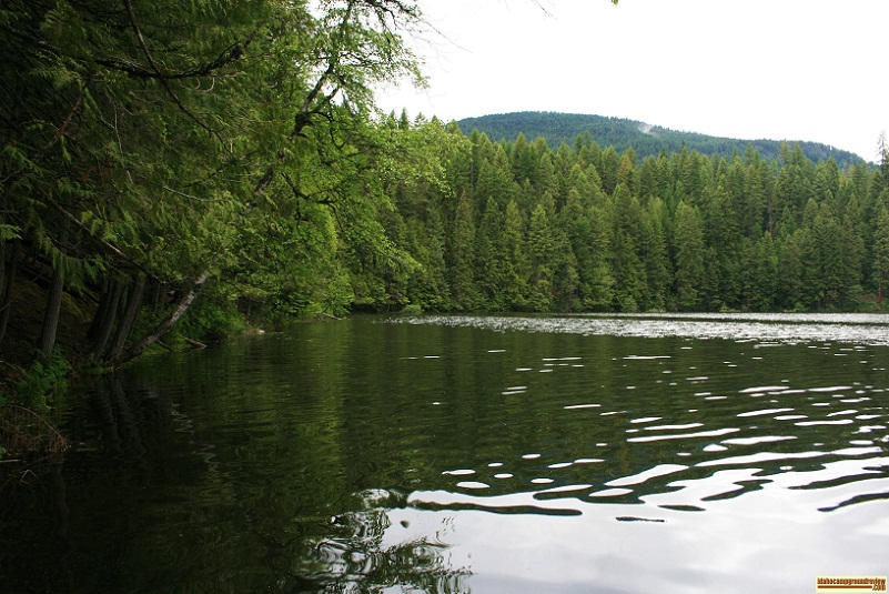 Robinson Lake Campground
