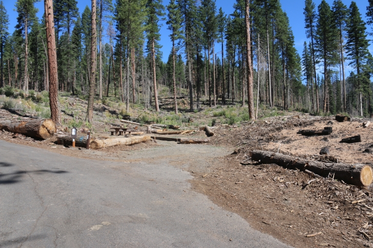 Camping in Sagehen Creek Campground at Sagehen reservoir.