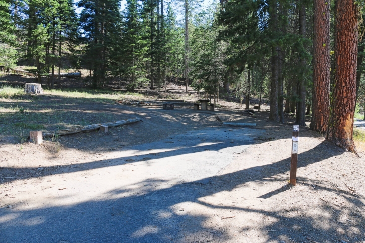Camping in Sagehen Creek Campground at Sagehen reservoir.