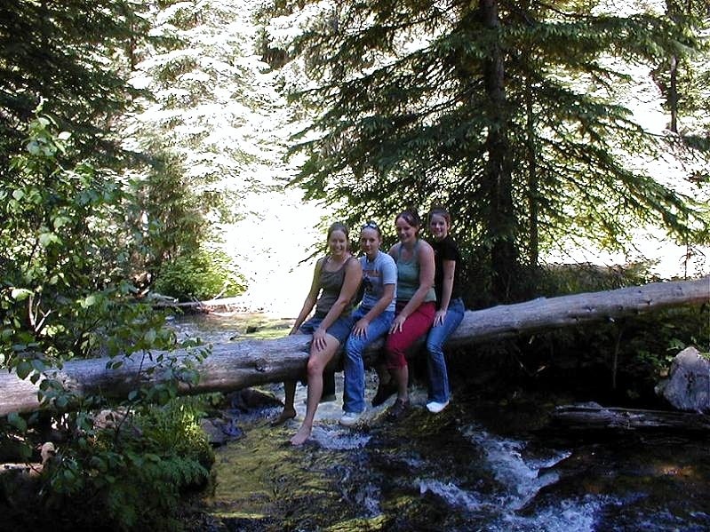 picture of four friends on a log over sagehen creek near sagehen creek campground