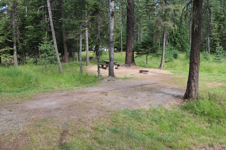 Campsites in Sam Owens Campground.