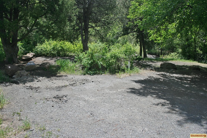 Primitive camping spot #2 near Schipper Campground.