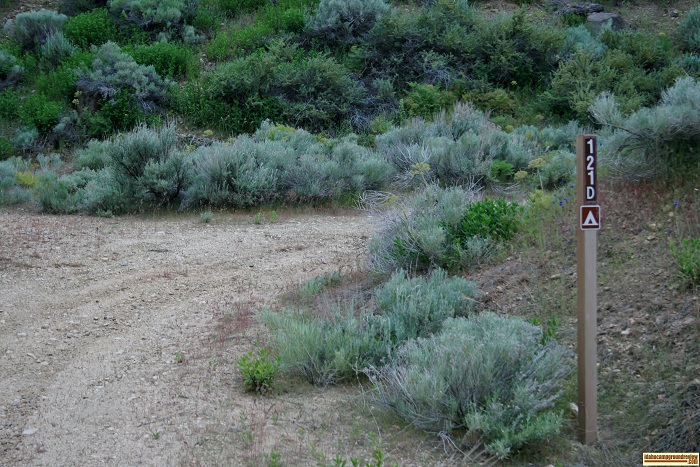 As you travel downstream, you will see signs like this marking each small camping area.