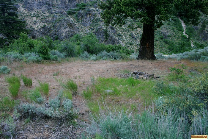 Hmm, which one do I want? Tree campsite or ...