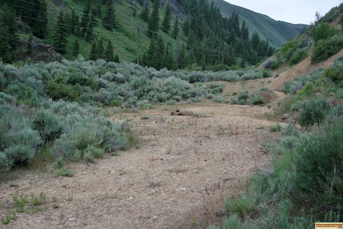 ...no tree campsite...