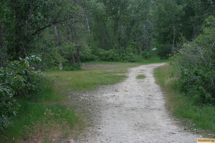 These camping sites offer shade trees and are located next to the river.