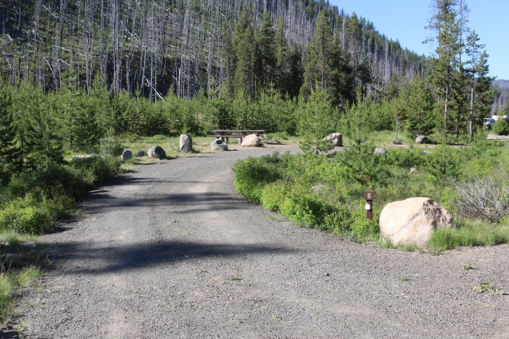 Information about the South Fork Salmon River Campground.