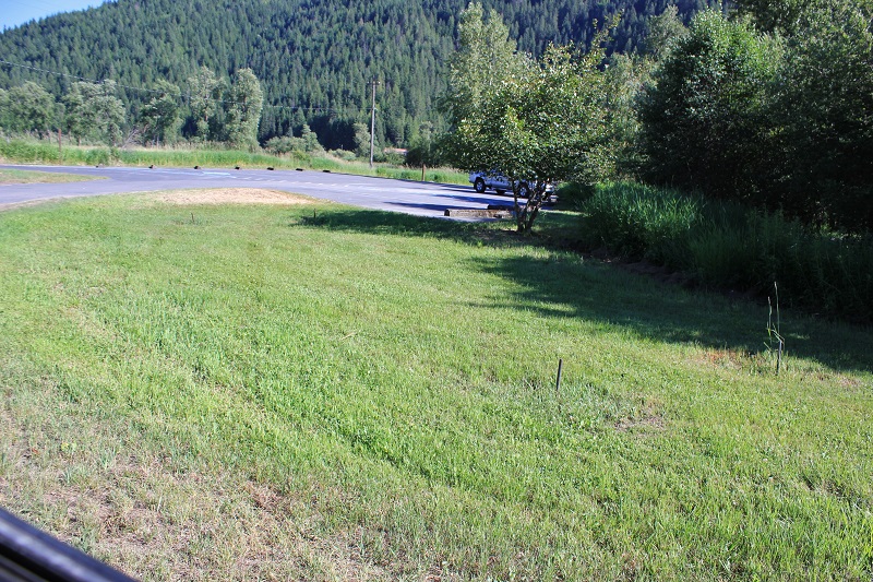 Shadowy St Joe Campground