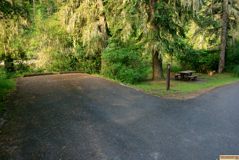 South Fork Campground on the Clearwater River.