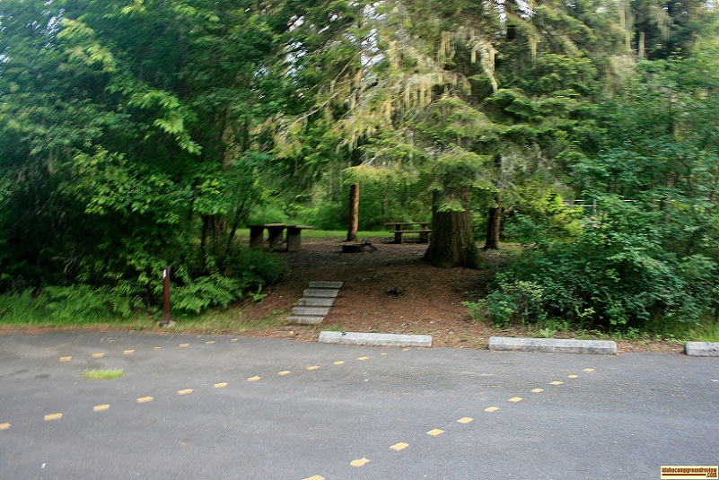 South Fork Campground on the Clearwater River.