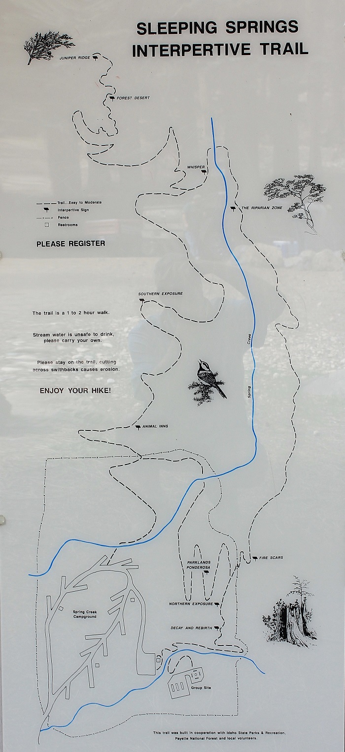 Spring Creek Campground near Hitt Mountain.