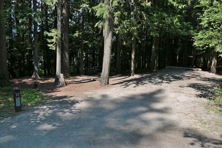 Springy Point Recreation Area - Campsites
