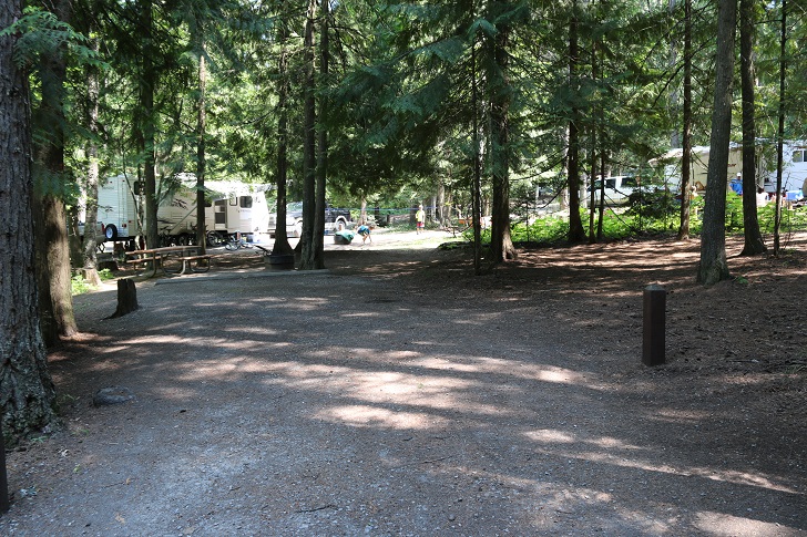 Springy Point Recreation Area - Campsites