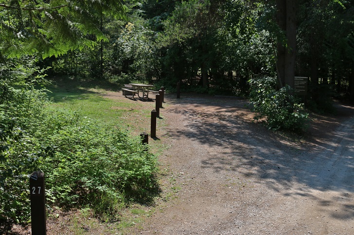 Springy Point Recreation Area - Campsites