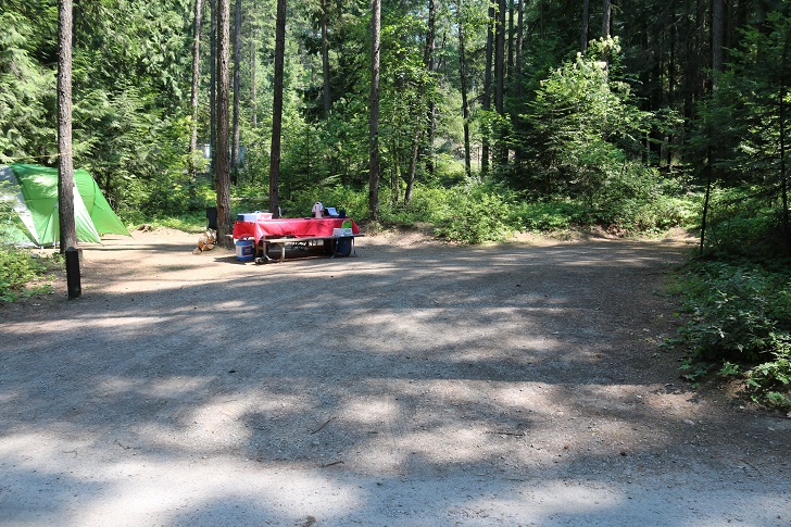 Springy Point Recreation Area - Campsites