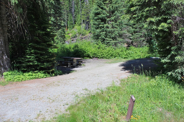 Spruce Tree Campground on the upper St Joe River