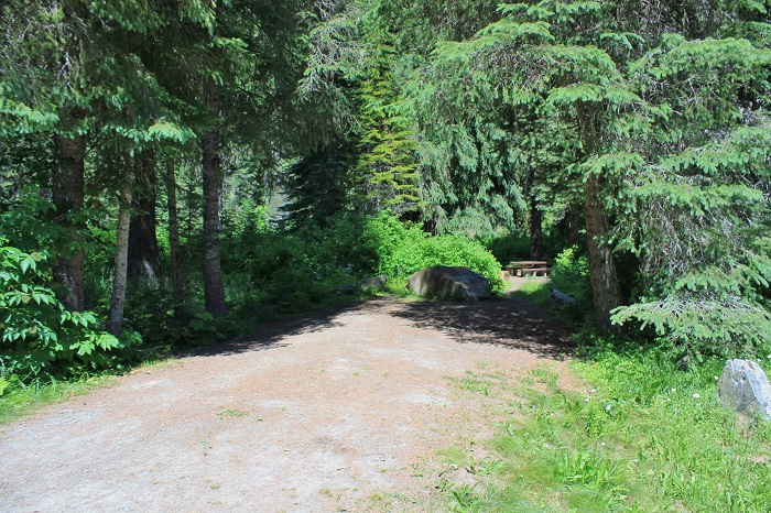 Spruce Tree Campground on the upper St Joe River