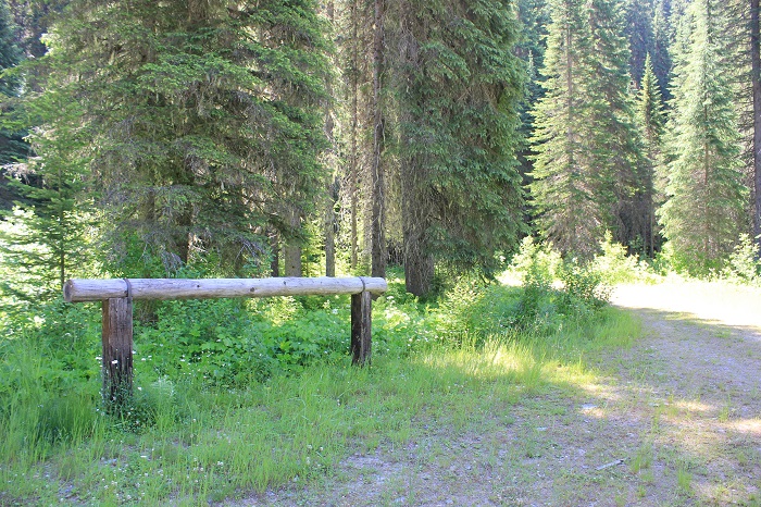 Spruce Tree Campground on the upper St Joe River