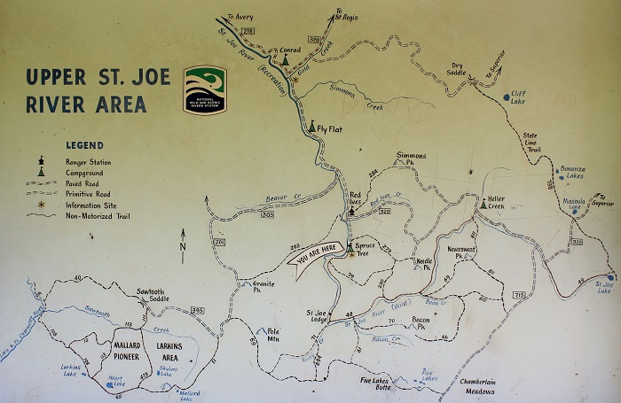 Spruce Tree Campground on the upper St Joe River