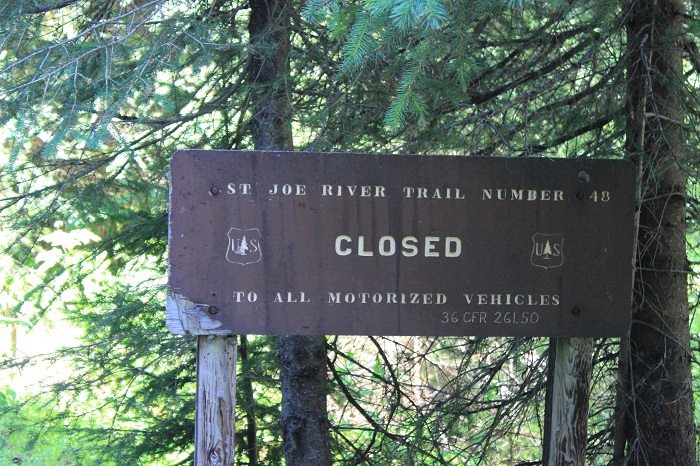 Spruce Tree Campground on the upper St Joe River