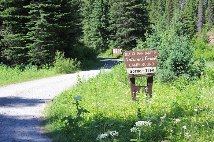 Spruce Tree Campground