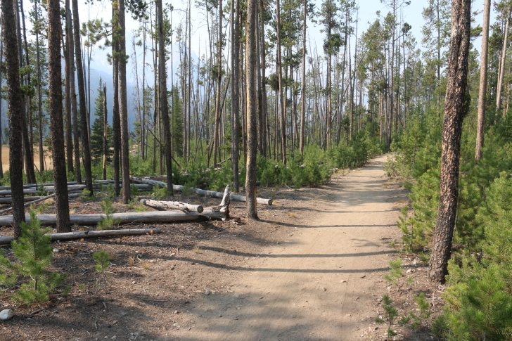 A guide to camping in Stanley Lake Campground Sawtooth Mountains