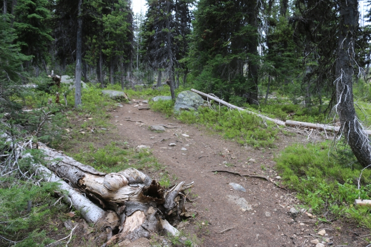 Summit Lake Campground near Warm Lake