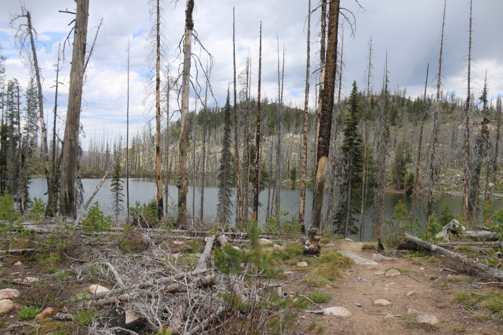 Summit Lake Campground near Warm Lake