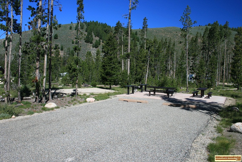 Sunny Gulch Campground on the Salmon River servers as overflow for the Redfish Lake area campgrounds.