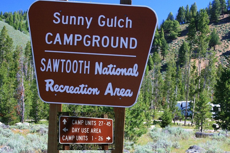Sunny Gulch Campground on the Salmon River servers as overflow for the Redfish Lake area campgrounds.