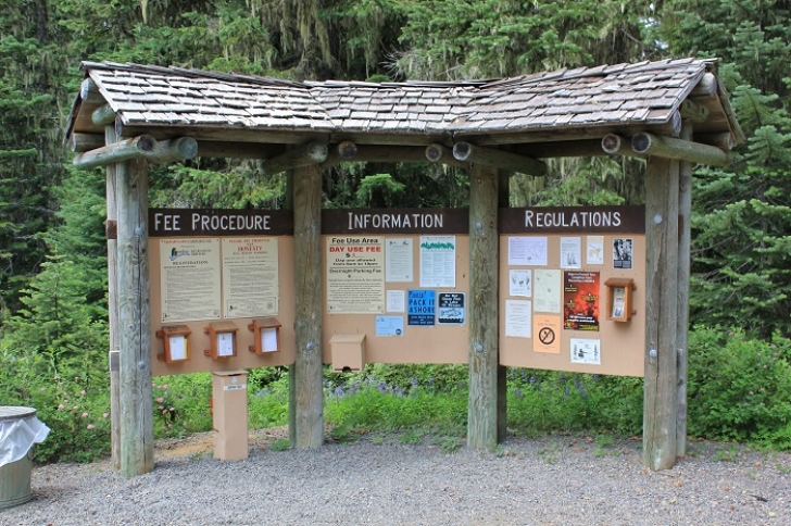 Camping in Washington's Takhlakh Lake Campground.