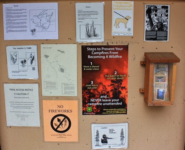 Camping in Washington's Takhlakh Lake Campground.