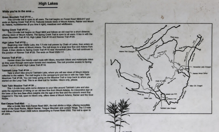 Camping in Washington's Takhlakh Lake Campground.