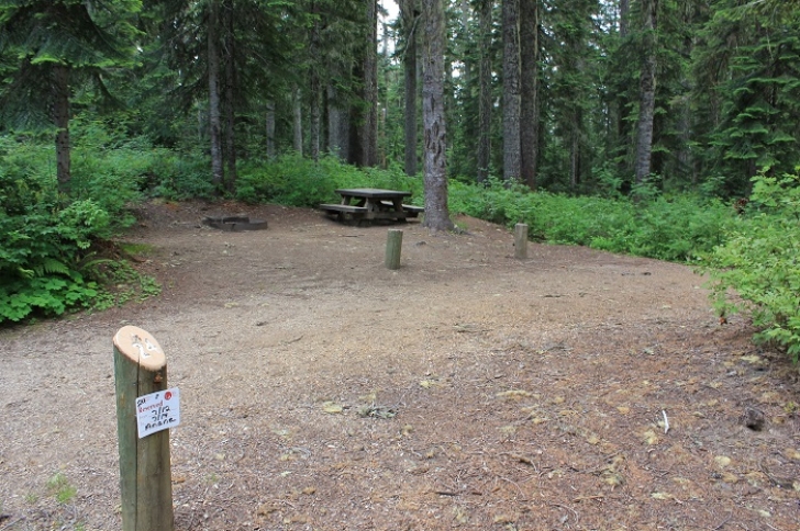 Camping in Washington's Takhlakh Lake Campground.