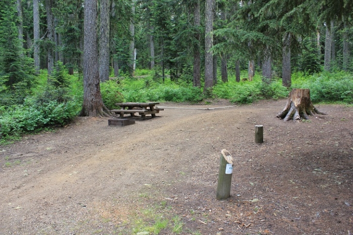 Camping in Washington's Takhlakh Lake Campground.